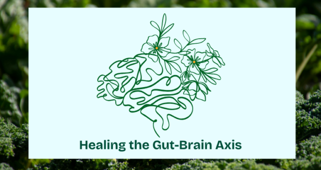 February 2025 The Gut-Brain Axis: Improving Gut Health in Supporting Optimal Well-Being